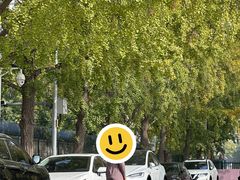 -三里屯东五街银杏大道