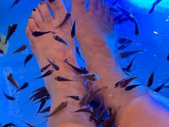 -汤连得温泉馆(宝山店)