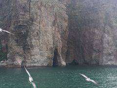 -长岛万鸟岛