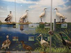 -下渚湖国家湿地公园科普馆