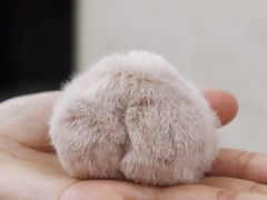 -猫员外精酿啤酒馆(国速荟店)