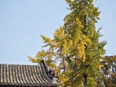 -花洲书院