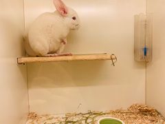 -龙猫仔乐园(惠福东路店)