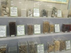-北京中医药大学-中医药博物馆