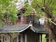 -大亚湾红树林城市湿地公园