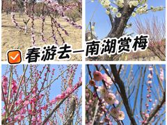 -南湖湿地公园