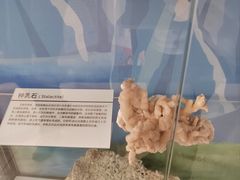 -中国第四纪冰川遗迹陈列馆