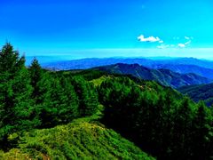 -苏木山森林公园