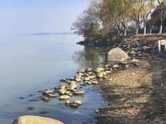 -瑶湖郊野森林公园