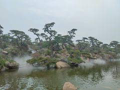 -罗红摄影艺术馆