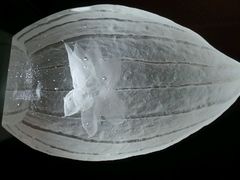android_upload_pic-上海琉璃艺术博物馆