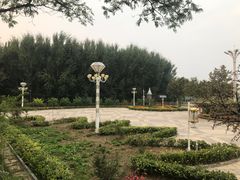 -白洋淀景区