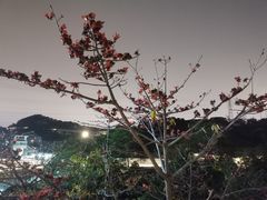 -福道
