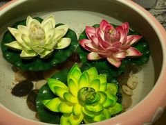-蘑菇私房菜小馆(杨家坪西城天街店)