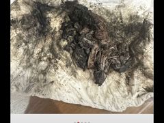 -御面斋精品面馆
