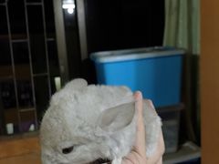 -龙猫仔乐园(惠福东路店)