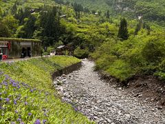 -鹿院坪生态旅游景区