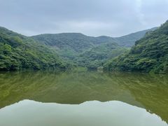 -黄埔油麻山森林公园