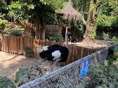 -广州长隆飞鸟乐园