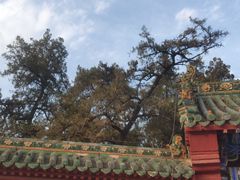 -关林