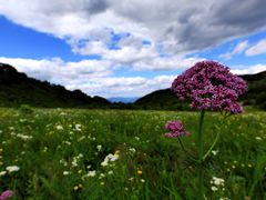 -白草畔自然风景区