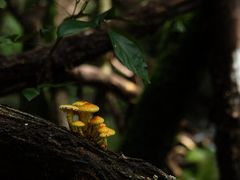 -昆明青龙峡风景区