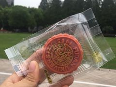 -复旦大学本部-食堂