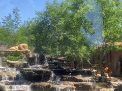 -北京野生动物园