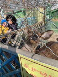 -萌宠亲子动物乐园(槐房万达店)