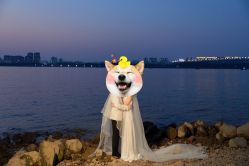 -蒙太奇婚纱摄影(万达店)