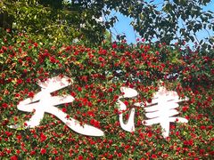 -天津五大道文化旅游区