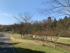 -宜兴龙背山森林公园