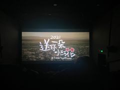 -山文星辉影城(济南和谐广场店)