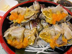 -渔娘渔家丹东海鲜(东直门店)