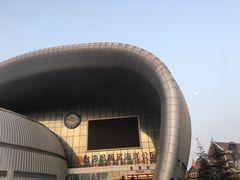 -烟台海昌鲸鲨海洋公园