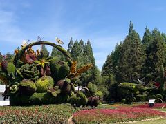-东平国家森林公园