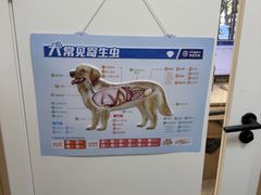 -瑞派康怡24h宠物医院·犬猫医疗中心·微创绝育(瑞景分院)
