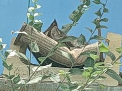 -青藏高原野生动物园