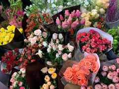 -双季花艺园艺市场(浦东店)