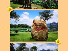-飞来湖湿地公园