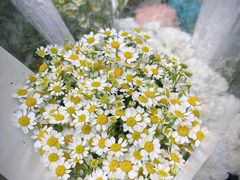 -ChaKo Flora ·茶子花艺 (市北店)