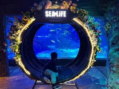 -沈阳海洋探索中心