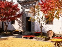 -塔川景区
