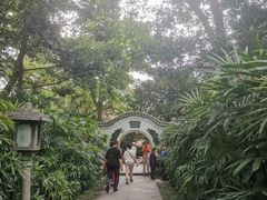 -广州兰圃