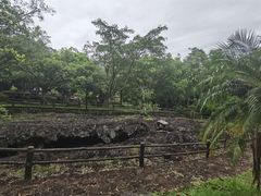 -海口火山口国家地质公园