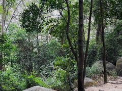 -火炉山森林公园