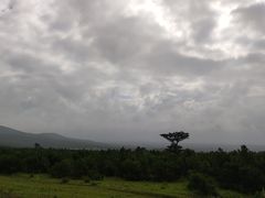 -玉湖村