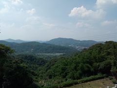 -广州市帽峰山景区