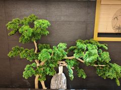 -有茶空间(万科金色半山店)
