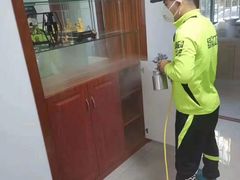 -绿色亿家除甲醛机构